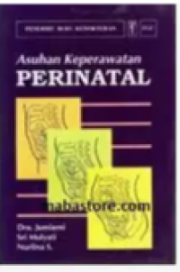 Image of Asuhan Keperawatan Perinatal