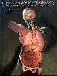 Image of Human Anatomy dan Physiology