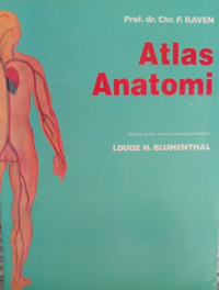 Image of Atlas Anatomi